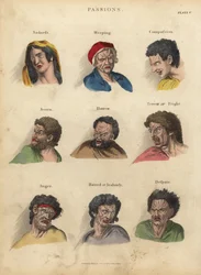 Passions de la physiognomonie