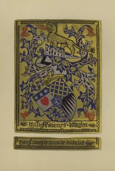 Sir James Douglas, comte de Douglas et Avondale, 1461-1488