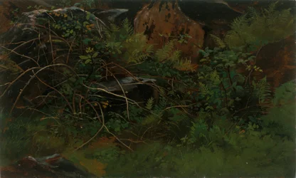 Étude de la nature