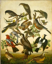 Oiseaux, vers 1840 (huile sur toile)