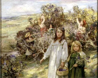 Cueillette de mûres
