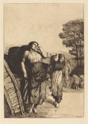 Récolte de pommes de terre