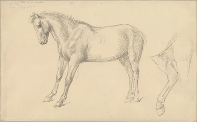 Études d