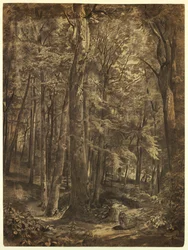Dessin, In the Woods, étude pour une peinture, June Woods, New York Historical Society, prêt de la New York Public Library, 1864