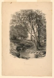Dessin, piscine dans les bois, 1874