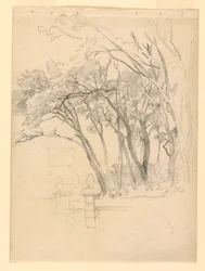 Étude de feuillage