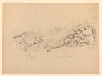 Étude de feuillage, Trachselwald, Berne, Suisse