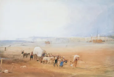 Scène de plage sur la côte sud