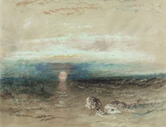Coucher de soleil sur la mer avec grondins
