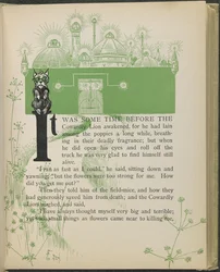 Illustration tirée de "Le merveilleux magicien d