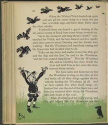 Illustration tirée de "Le merveilleux magicien d