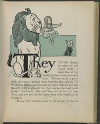Illustration tirée de "Le merveilleux magicien d
