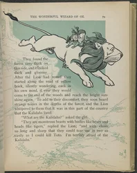 Illustration tirée de "Le merveilleux magicien d