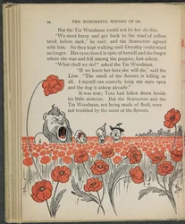 Illustration tirée de "Le merveilleux magicien d