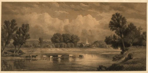 Traverser le cours d