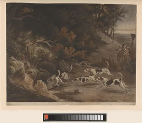 Chasseur et chiens de chasse à la chasse au renard