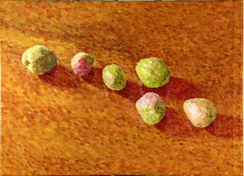 Nature morte, Worcesters noires, 2013