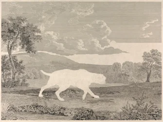 Le pointeur espagnol