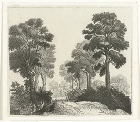 Paysage avec arbres le long d