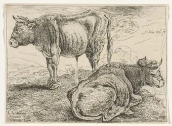 Deux bœufs