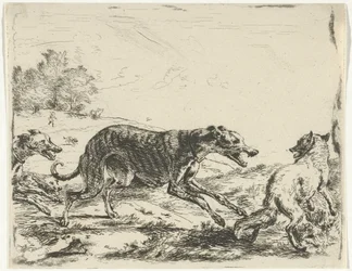 Renard et trois chiens