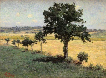 Paysage