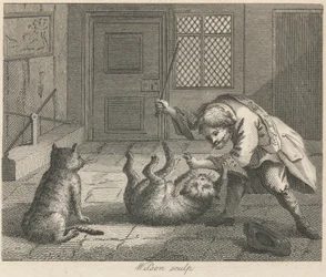 Le ratier et les chats