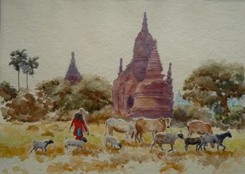 901 Bagan, troupeau parmi les temples
