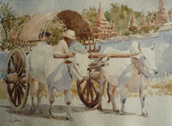 934 Taxi en charrette à bœufs autour des temples