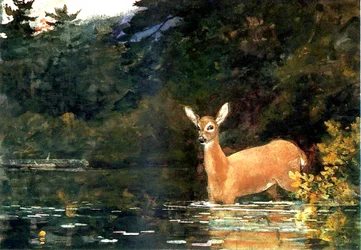 Une biche, 1889