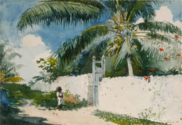 Un jardin à Nassau