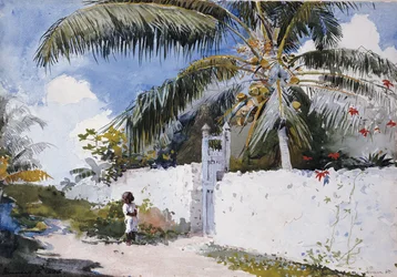 Un jardin à Nassau, 1885
