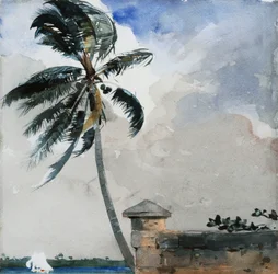 Une brise tropicale, Nassau, 1889-90
