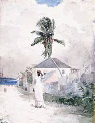 Le long de la route, les Bahamas, 1885