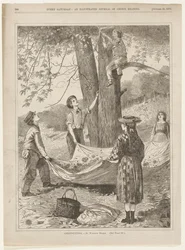 Cueillette de châtaignes