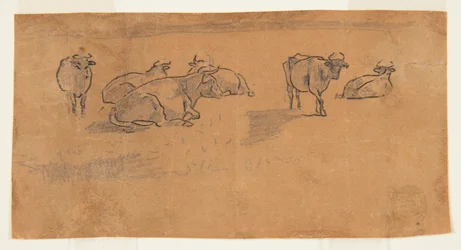 Vaches dans un pâturage