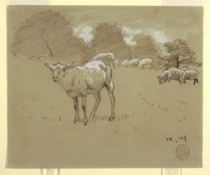 Dessin, moutons broutant dans un champ, vers 1875-78