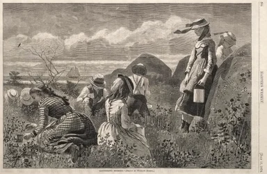 Cueillette de baies, 1874