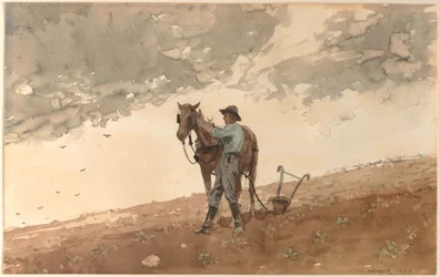 Homme avec un cheval de labour