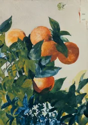 Oranges sur une branche, 1885