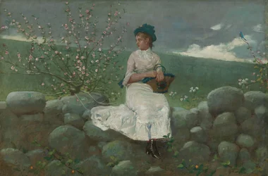 Fleurs de pêcher