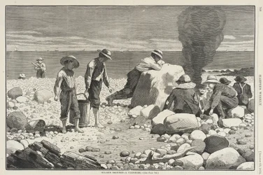 Esquisses du bord de mer - Une grillade de palourdes