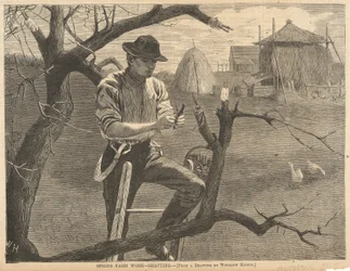 Travail agricole de printemps