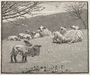 Agneau de printemps