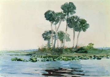 Rivière Saint-Jean, Floride, 1890