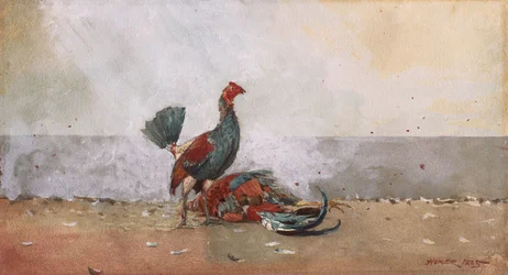 Le combat de coqs