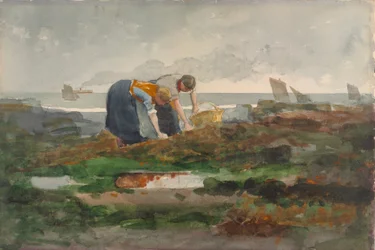 Les ramasseurs de moules