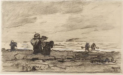 Femmes sur un rivage rocheux