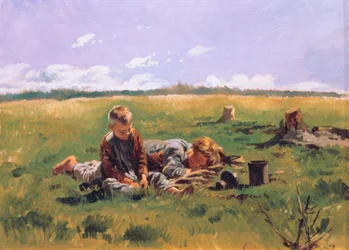 Garçons dans un pré