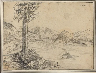 Les rapides du Danube près de Grein